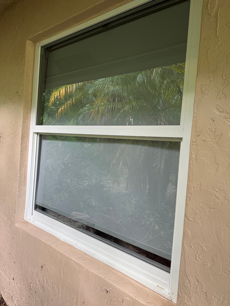 White double-hung window with gray screens set in beige stucco wall, palm trees visible through glass
