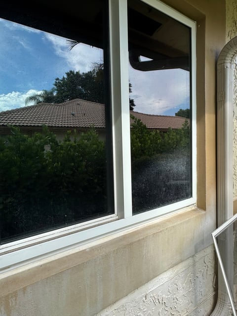 Freshly cleaned large glass window and door overlooking a suburban Palm Beach County neighborhood with palm trees under blue sky